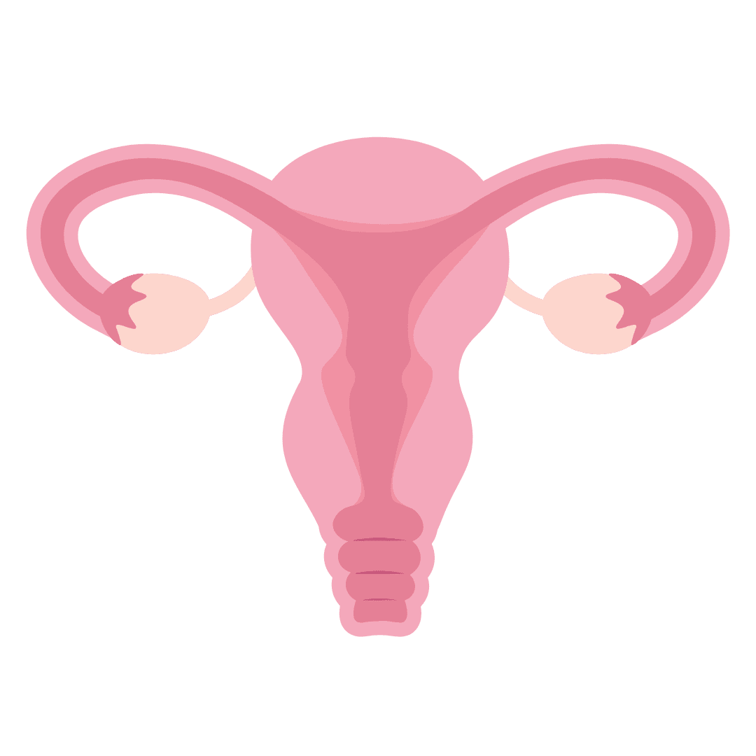 Des actions de sensibilisation au HPV